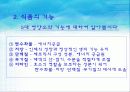 초등학교 실과 영양교육 식품교육 5페이지