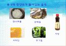 초등학교 실과 영양교육 식품교육 6페이지