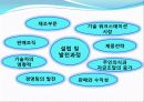 Sun Microsystem사의 인사정책 3페이지