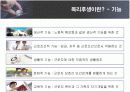 선택적 복리후생제도의 유형 및 효과와 기업사례 5페이지