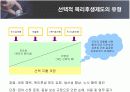선택적 복리후생제도의 유형 및 효과와 기업사례 16페이지