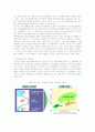 포스코(POSCO)의 핵심인재관리 9페이지