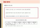 현대자동차의 인도진출 마케팅전략과 성공요인 6페이지