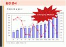 현대자동차의 인도진출 마케팅전략과 성공요인 8페이지