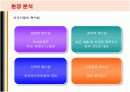 현대자동차의 인도진출 마케팅전략과 성공요인 9페이지
