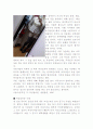 복장음욕증 2페이지