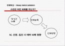 중금속오염 8페이지