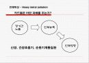 중금속오염 12페이지