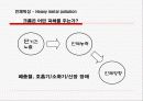 중금속오염 14페이지
