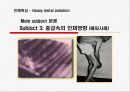 중금속오염 19페이지