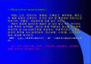 환경과산업 13페이지