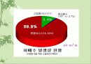 수질오염 10페이지