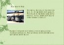 수질오염 12페이지