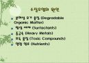 수질오염 13페이지