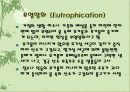 수질오염 18페이지
