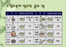 수질오염 20페이지