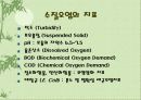 수질오염 24페이지