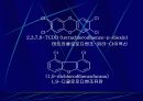 폐기물 오염 및 처리 13페이지