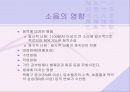 소음 및 진동공해 5페이지