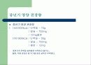 중년기의 영양 16페이지