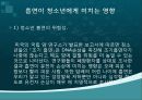 청소년과 흡연 10페이지