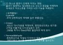 청소년과 흡연 12페이지