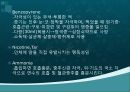 청소년과 흡연 13페이지
