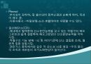청소년과 흡연 14페이지