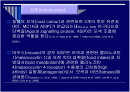 돼지모색 관련 후보유전자 어구티신호단백질 2페이지