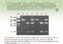 먹이섭취, 지방생성과 성장의 돼지형질과 관련 후보유전자 Melanocortin–4Receptor 6페이지