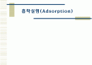 흡착실험 1페이지