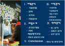 [인터넷비즈니스]넥슨(NEXON) 마케팅전략 분석 및 향후과제(A+리포트) 2페이지