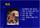(체육측정평가)종합격투기 경기를 위한 훈련계획 2페이지