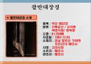 해인사 팔만대장경과 장경판전 13페이지