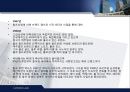 폴로 랄프로렌의 프리미엄 브랜드 마케팅 케이스 영어 발표 PPT  Polo Ralph Lauren   26페이지