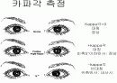 허쉬버그 검사 원리 (카파각  측정) 8페이지