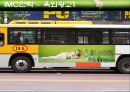★광고분석★참이슬fresh 와 처음처럼★대안전략 및 대안전략 56페이지