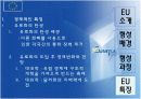[국제경영] EU 및 기타 경제통합사례 5페이지