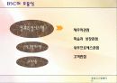 BSC[Balanced Scorecard 균형성과평가제도]분석 17페이지
