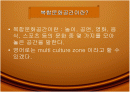 인사동과 복합문화거리 2페이지