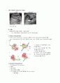 담낭암[GB cancer] 정리 6페이지