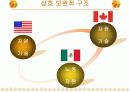 NAFTA(나프타) 이해 11페이지