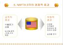 NAFTA(나프타) 이해 29페이지