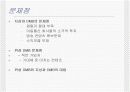 DMB 서비스와 세계시장 동향 16페이지