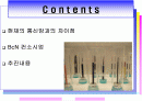 광대역 통합망 (BCN) 기술 2페이지
