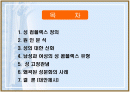 성 컴플렉스의 원인과 대안 2페이지