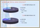 성 컴플렉스의 원인과 대안 9페이지