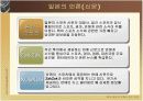 일본의 언론 분석 8페이지