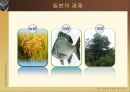 일본의 정치와 경제 36페이지