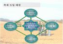 생태관광지조사 - 고창군 보리밭 6페이지
